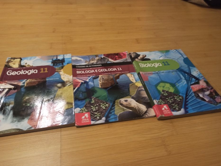 Livros Escolares  11 Ano