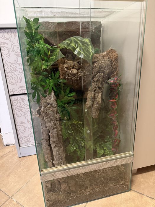 Terrarium dla gekona