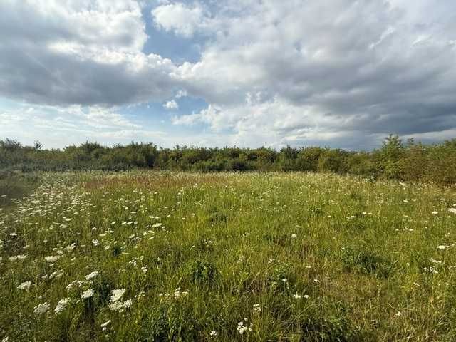 Земельна ділянка під забудову 20 соток. Золочівський район, Львівська область