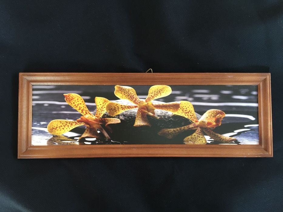 Obrazek, foto, storczyki 37,5x 12,5 cm
