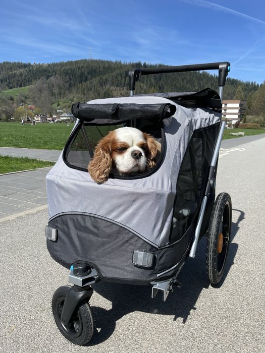 Wózek dla psa Triexie M, do 30 kg.