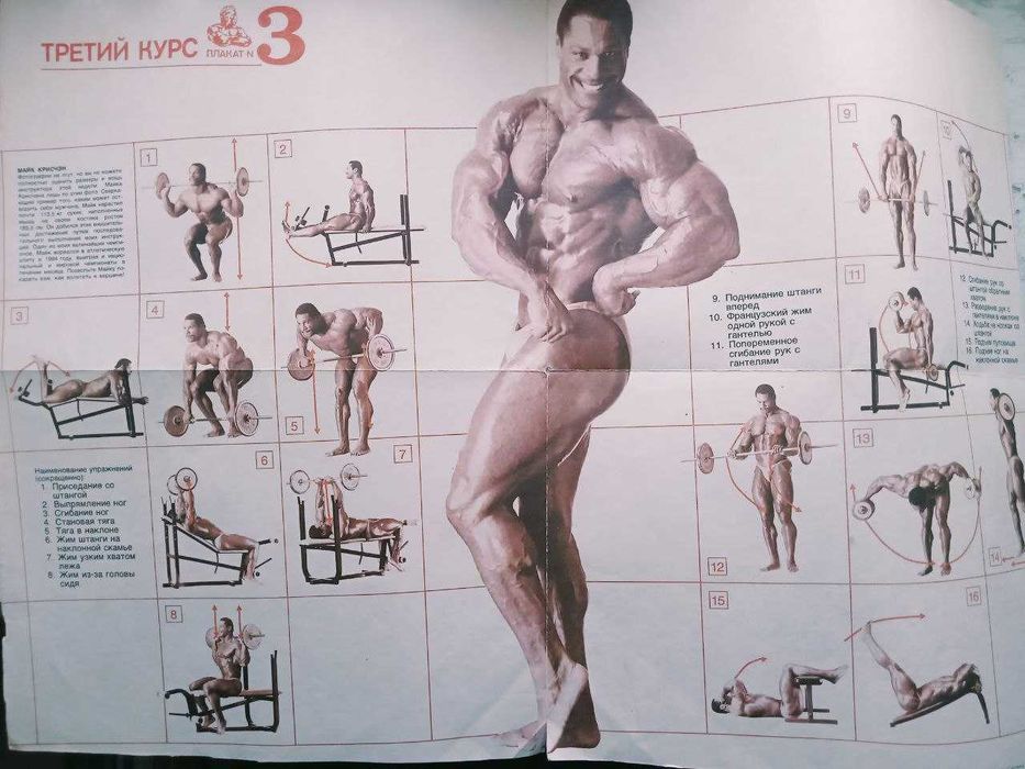 Дж. Вейдер Система строительства тела