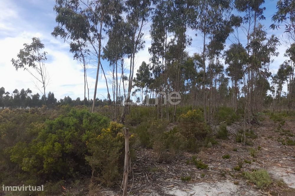 Terreno Rustico com 12580m2