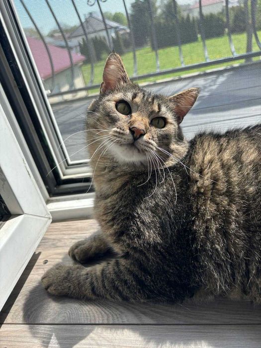 Boczek czyli 7 kg "mięśni" i miłości