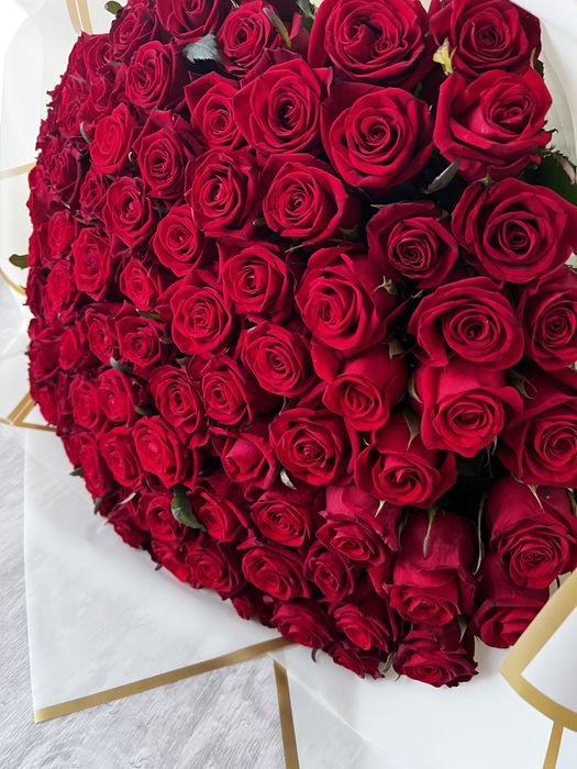 101 троянда висота 70 см
