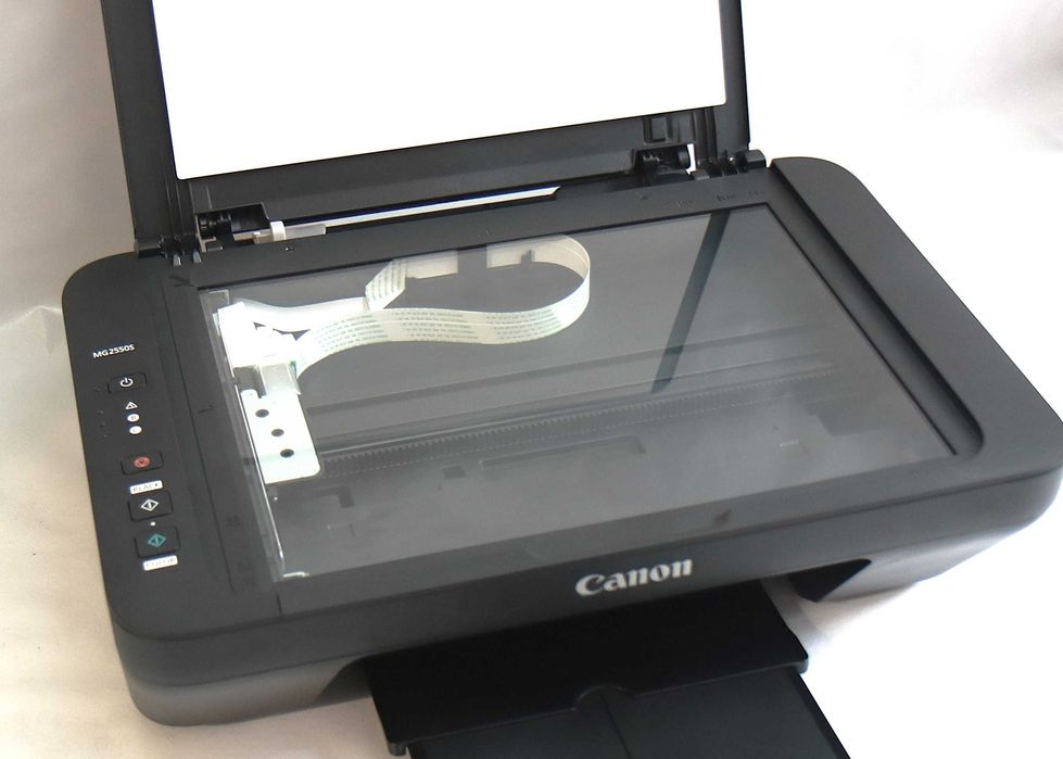 Impressora Canon Pixma MG2550S