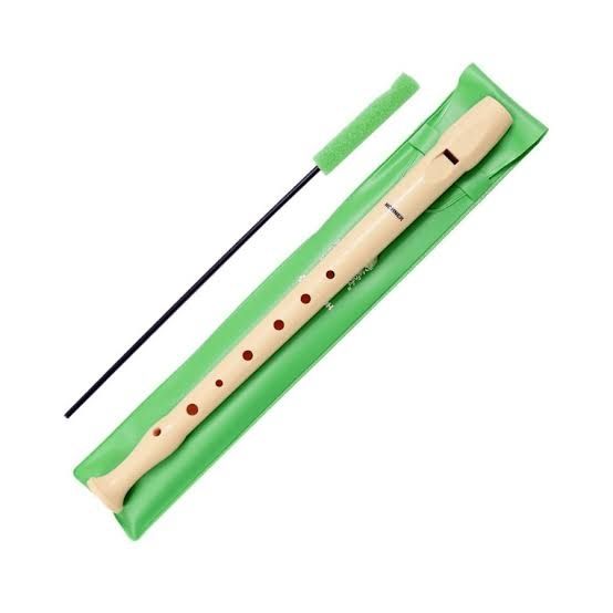 100 Flautas Hohner Novas