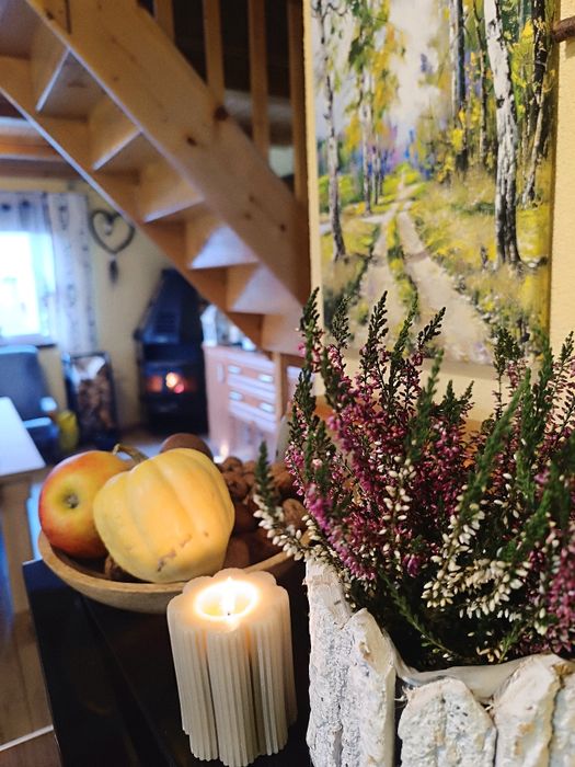 Domek z kominkiem,jacuzzi,sauna,jezioro