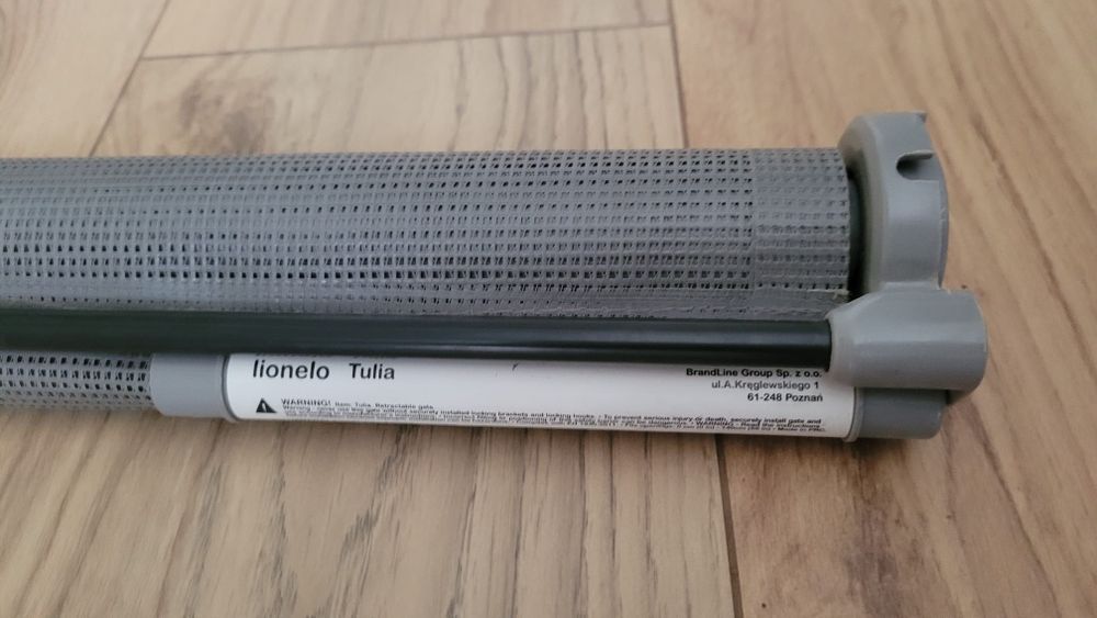 Bramka Lionelo Tulia