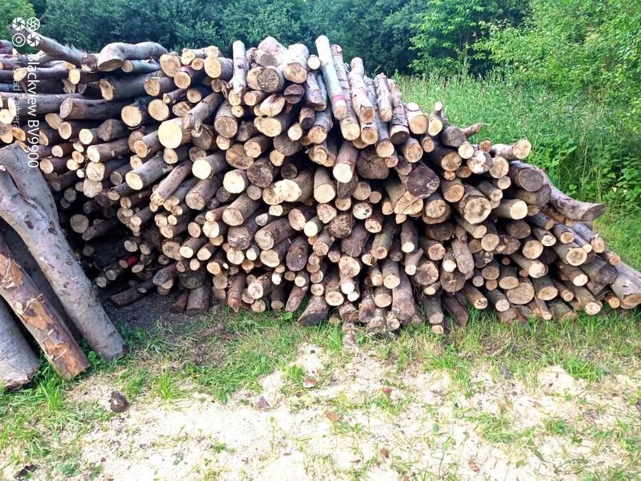 Sprzedam drewno opałowe JESION, KLON , BUK, świerk