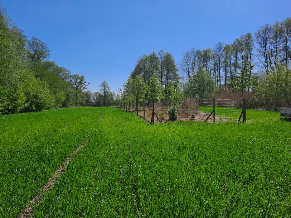 Ogrodzenie tymczasowe budowlane leśne