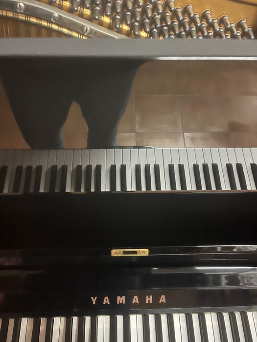 Yamaha U3 – Piano Vertical Profissional – Excelente Estado