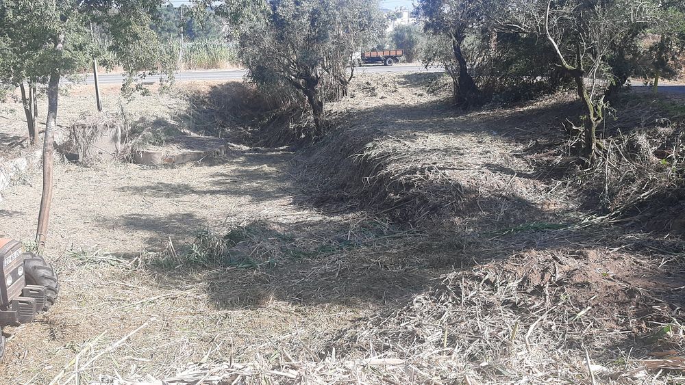 Trabalhoa silvicultura e jardinagem