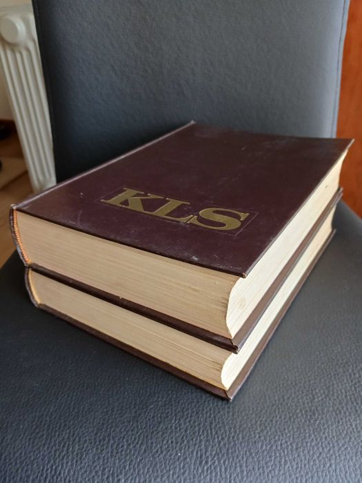 Dicionário Koogan Larousse Selecções