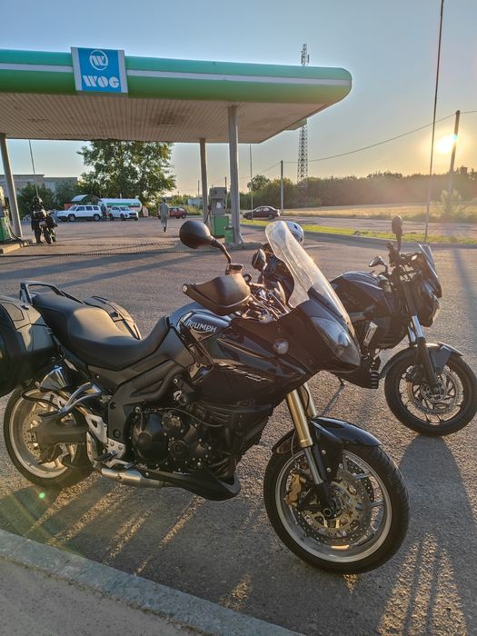 Triumph Tiger 1050 готов к сезону, не требует вложений