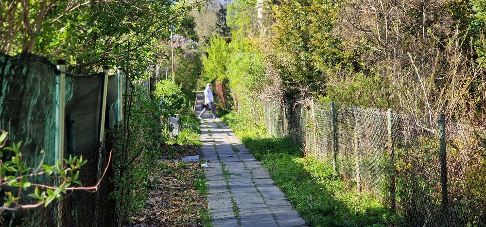 Działka ROD na sprzedaż – Mokotów, ROD Obrońców Pokoju
