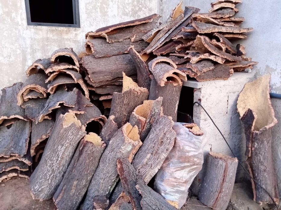 CORTIÇAS em Almodôvar