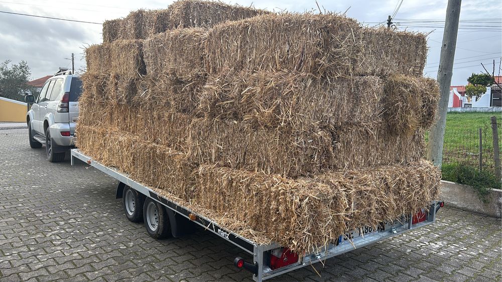 Aluguer / transporte atrelado