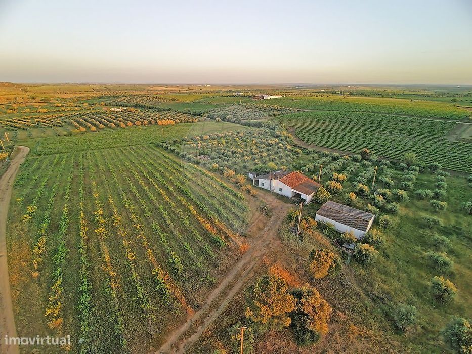 Quinta  para venda