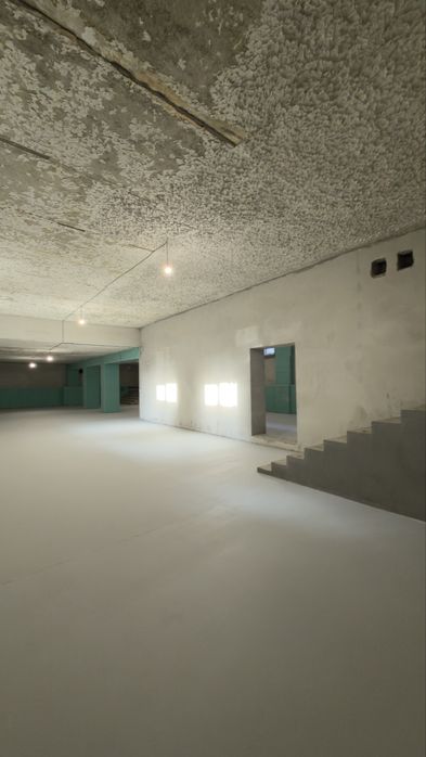 Оренда 250 м² в Центрі