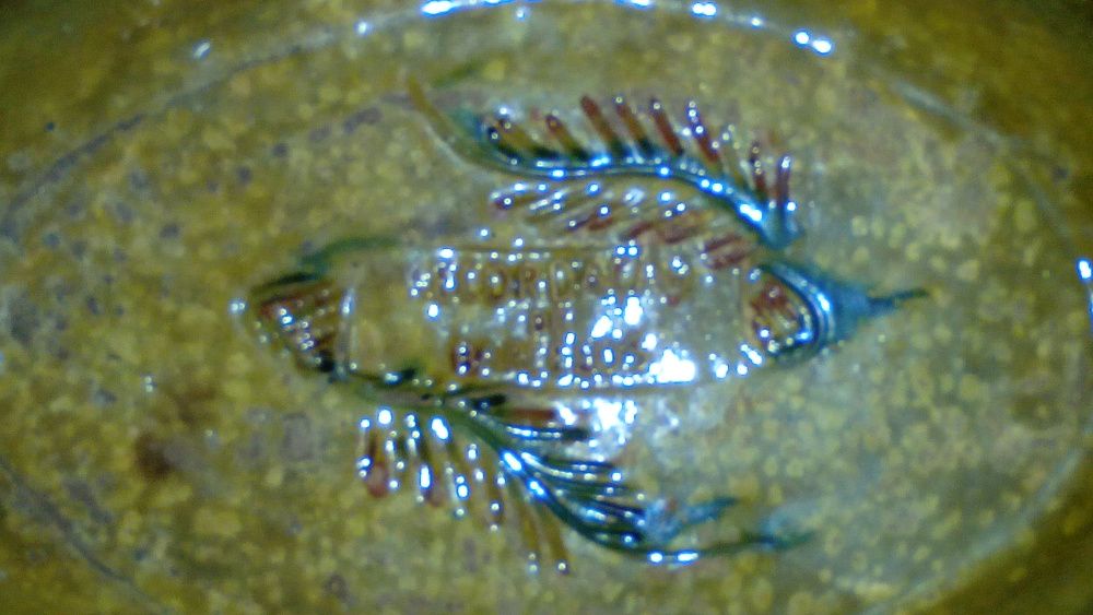 Assadeira Antiga Anos 50 - Recordação de Barcelos