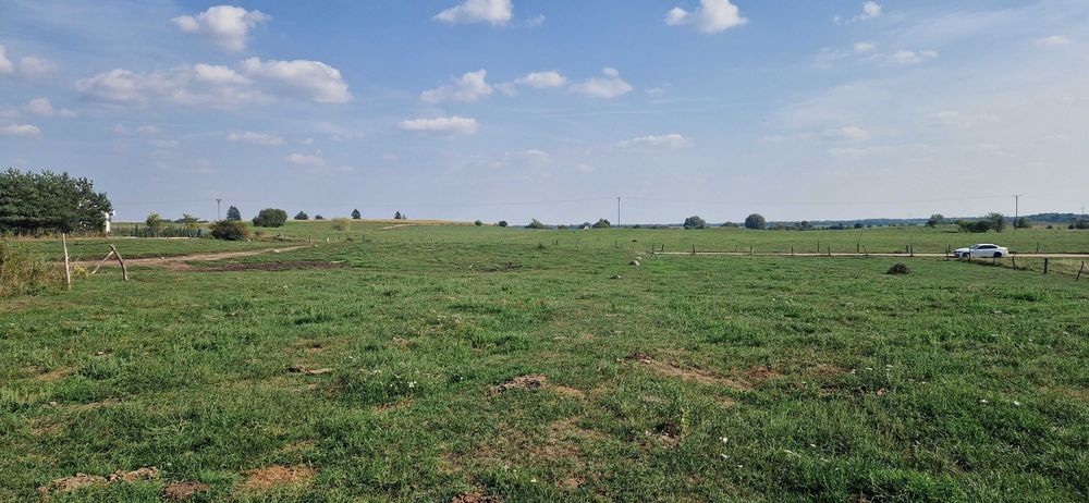 Działka budowlana z widokiem na Jezioro Śniardwy 1 200 m² – Nowe Guty koło Orzysza, Mazury - Widok 3