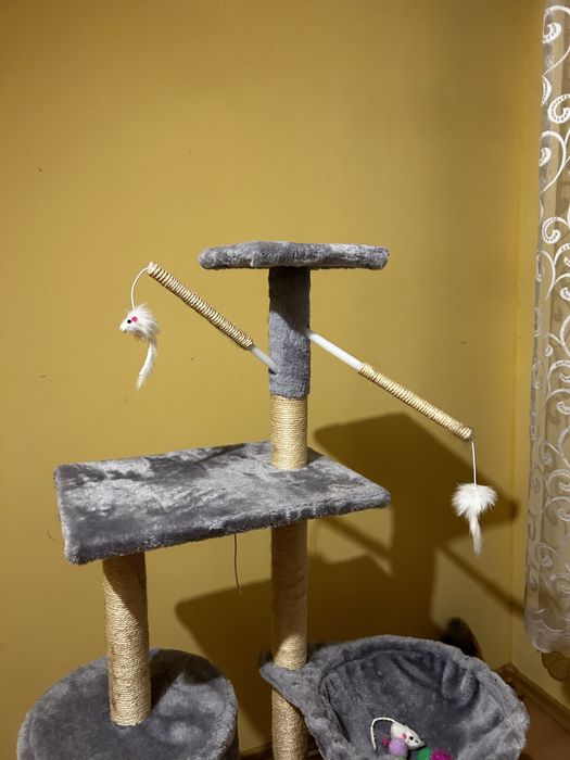 Duzy drapak dla kota