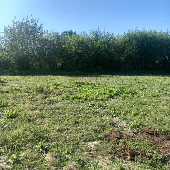Продаж ділянки в с. Путрівка