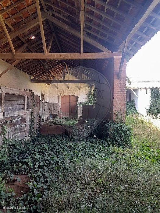 Armazém  para venda