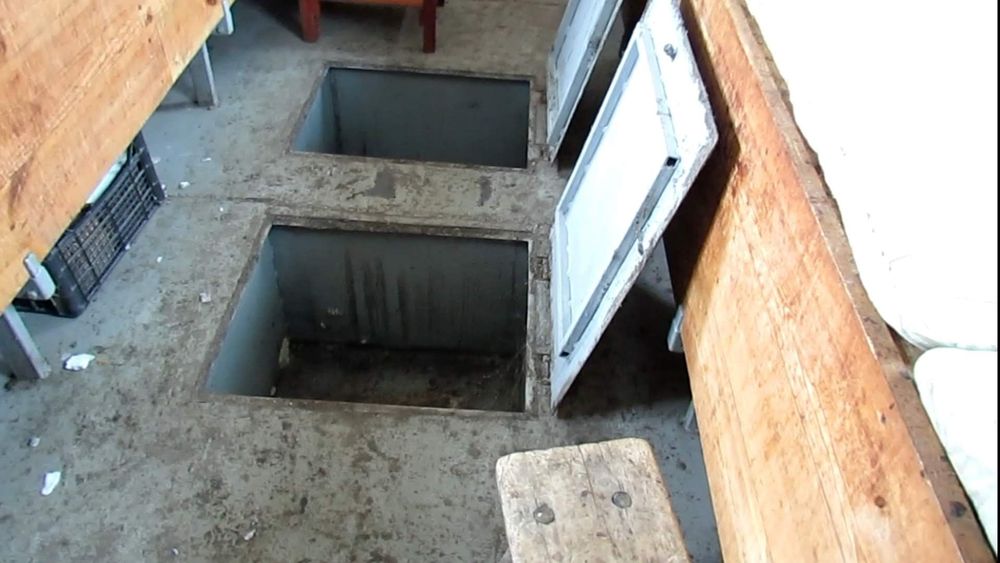 Павільйон пасіка з бджолою (14 сімей)