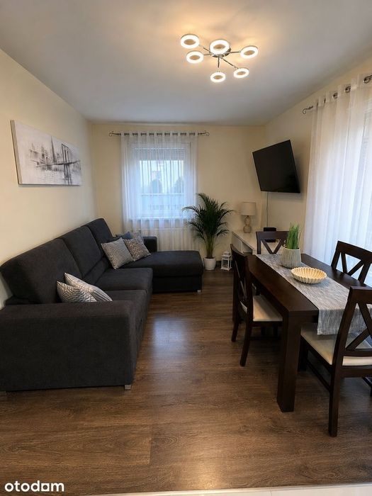 Apartament wynajme