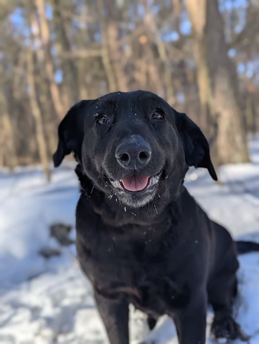 Ugra czeka na swoich ludzi!