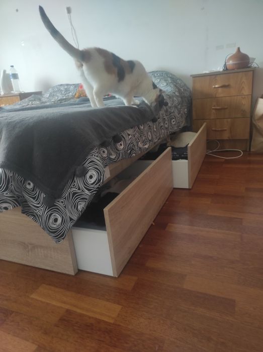 Cama Moviflor com 4 gavetas