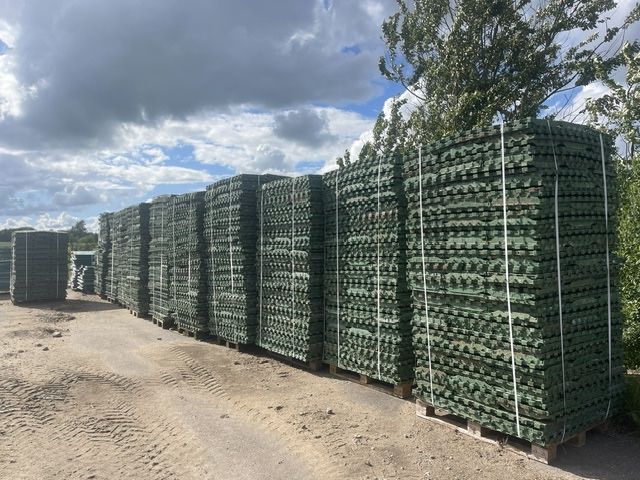 Ruszta plastikowe 1000m2 - WARCHLAKARNIA — Ruszt Maciora Warchlak