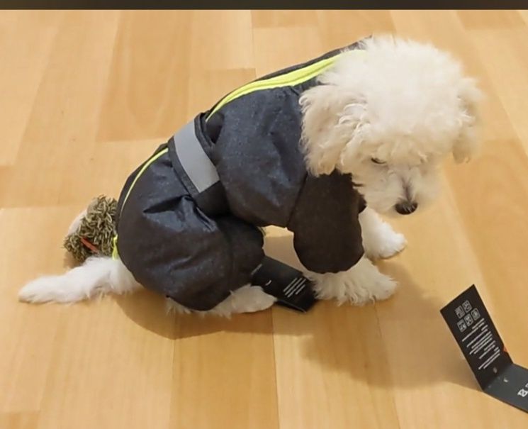 Комбінезон для маленьких собачок Pet Fashion