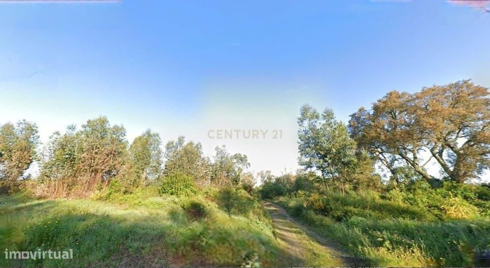 Terreno Rustico 21 360M2 - Santarem