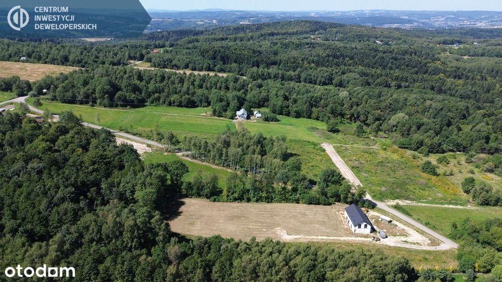 Działka pod lasem z warunkami zabudowy - Widok 2