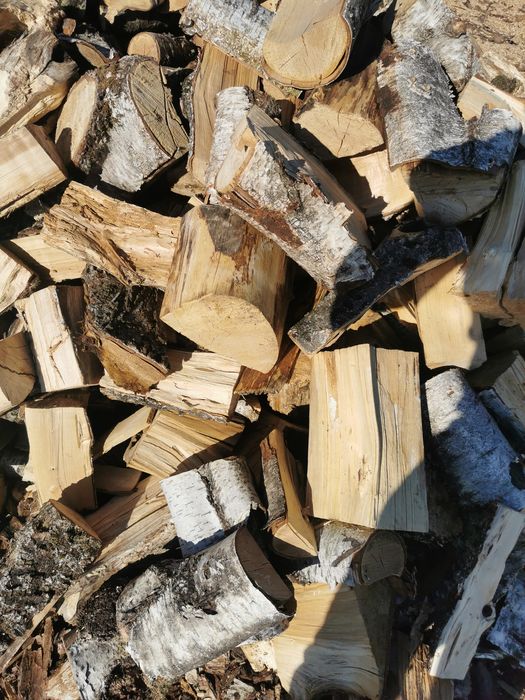 Drzewo opałowe różnego rodzaju