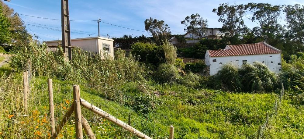 Terreno com casa T1