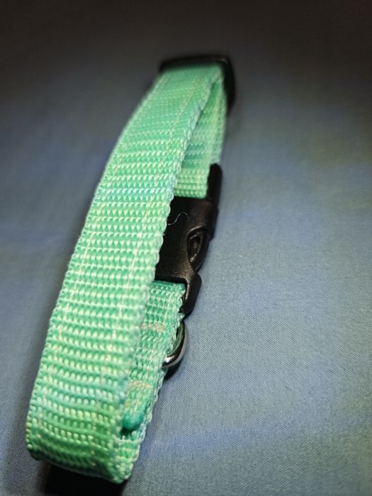 Obroża dla małego psa