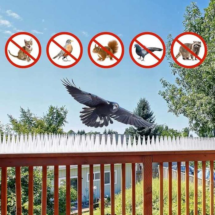 Kolce Na Ptaki Gołębie Plastik zestaw 30 szt 9 m