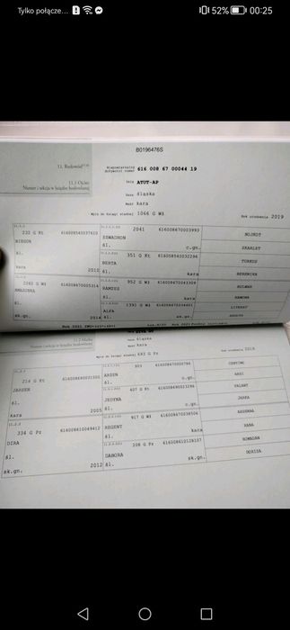 Klacz Śląska programowa zamiana