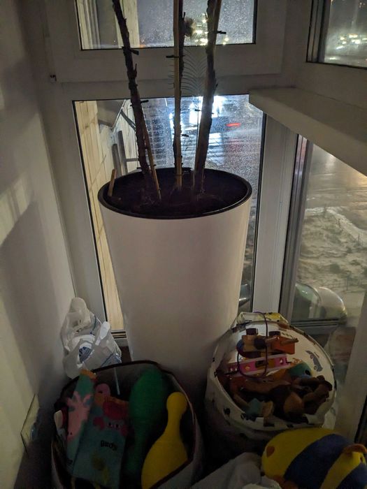 вазони для квітів