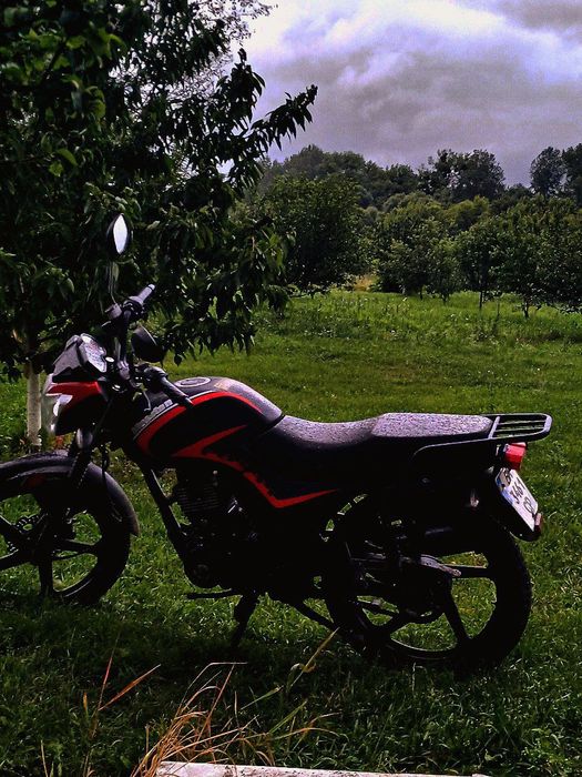 СРОЧНО Мустанг фості 150 срочно