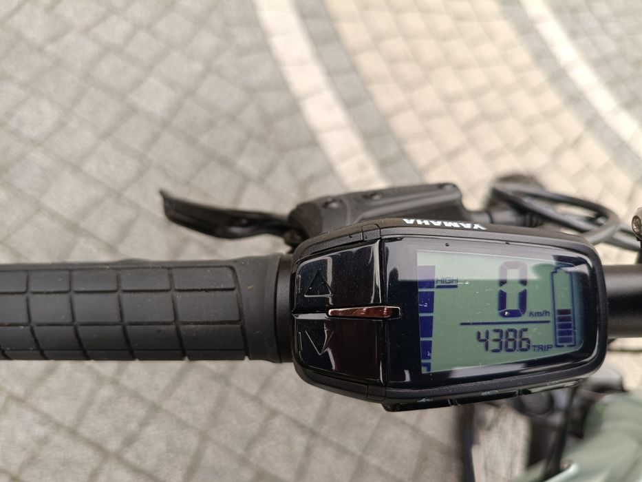 Rower elektryczny Raymond Yamaha