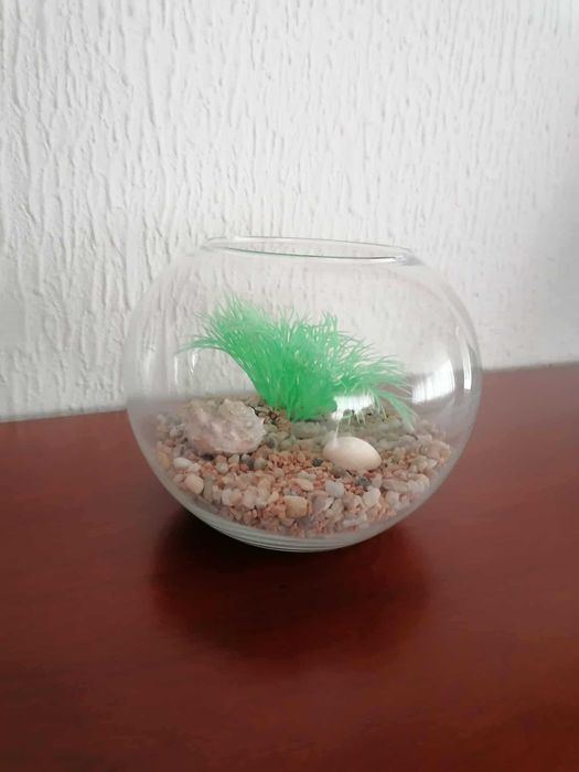 Aquário em vidro redondo