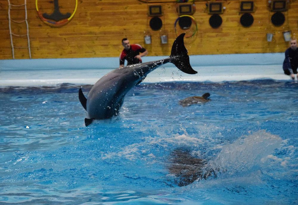 Nikon Sigma 17-50 mm f/2.8 DC EX HSM OS (із стабілізатором)