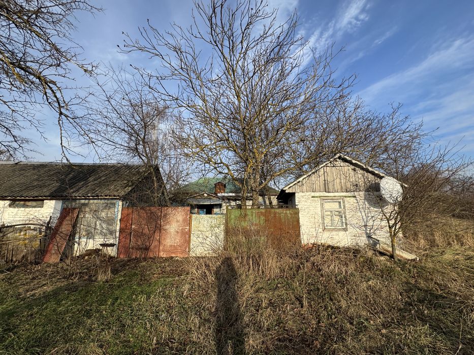 Продаж будинка в селі Красилівка