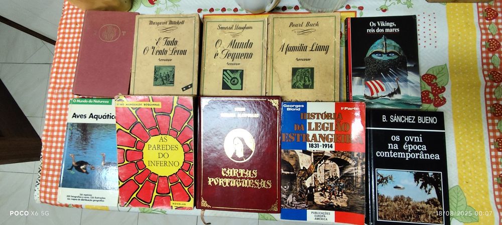Lote variado de livros, para todos os gostos