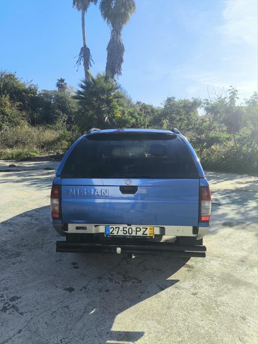 Nissa terrano || foto 5